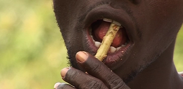 Les Feuilles d’un temps (2010) de Bakary Diallo


